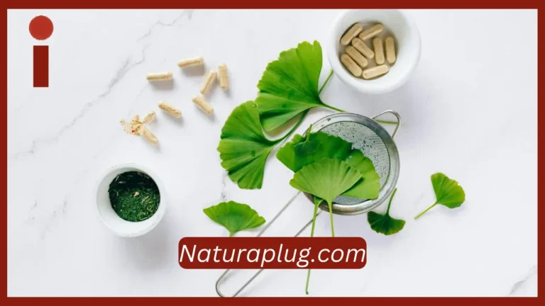 Naturaplug.com